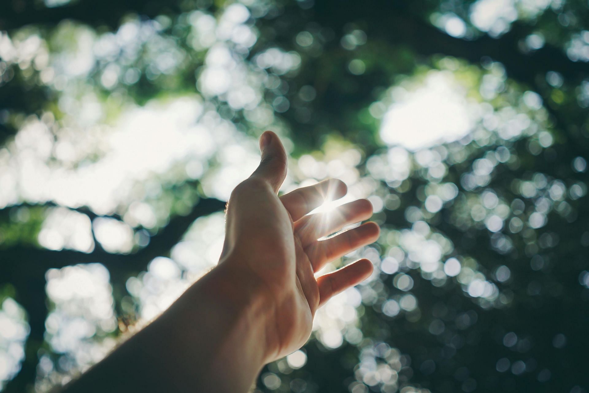 Tips to make fibroids go away (image sourced via Pexels / Photo by ricky)